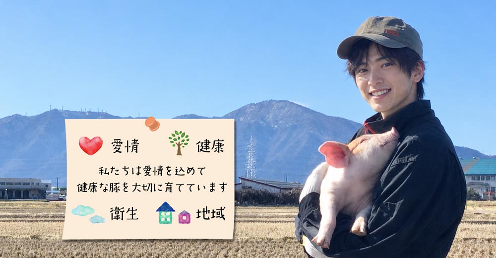 私たちは愛情を込めて健康な豚を大切に育てています。